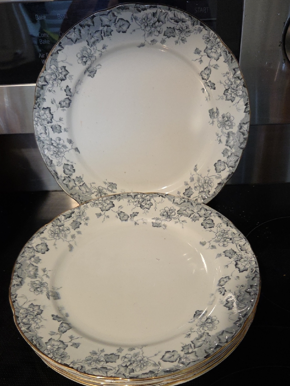 Vintage Art Co. Ltd England Plate Set Of 5